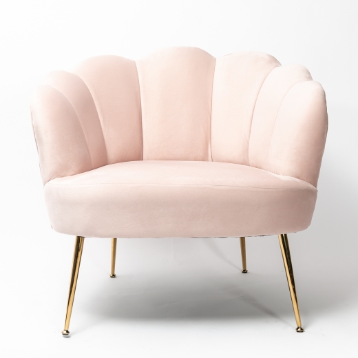 Blush Pink Velvet Lotus Cocktail Chair with Gold Legs