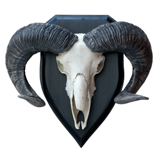 Resin Black & White Ram Head - 14.5 Inch Decorative Trophy Head