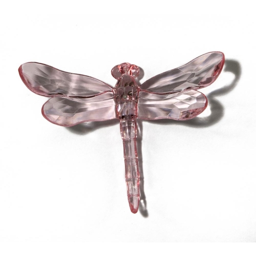 Pink Dragonfly with Pike