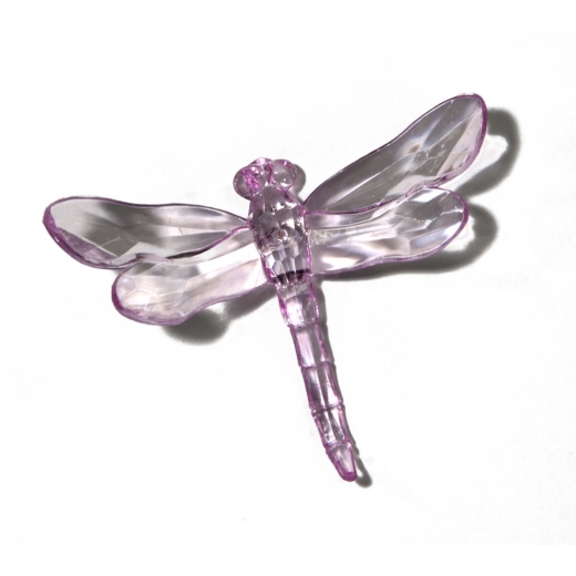 Lilac Dragonfly with Pike