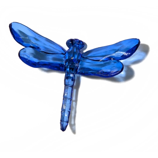 Blue Dragonfly with Pike