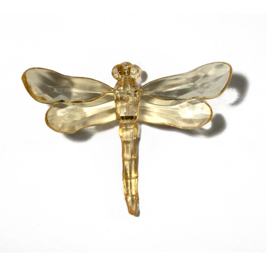 Gold Dragonfly with Pike