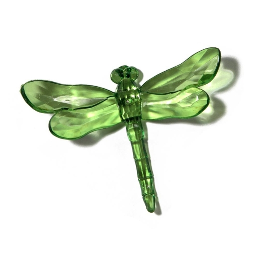 Green Dragonfly with Pike