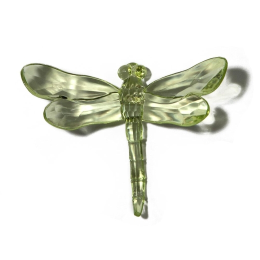 Mint Green Dragonfly with Pike