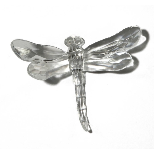 Clear Dragonfly with Pike