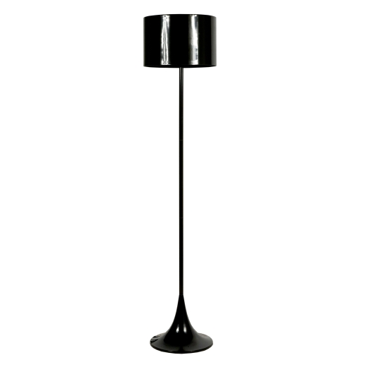 Contemporary Black Floor Lamp