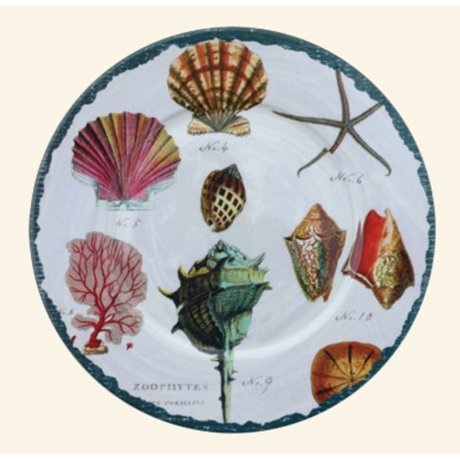 Ocean Inspired Decorative Plate with Seashells